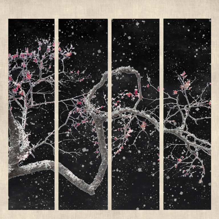 Lin Tonghua - Plum-blossom-in-snow